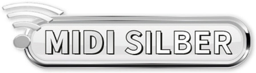 MIDI Accordion Silver