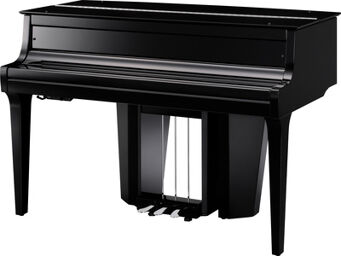 Novus NV-12 Noir poli