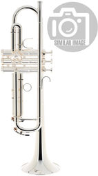 James Morrison Bb-Trumpet S