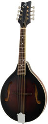 RMA30-WB LH Whiskey Burst Satin