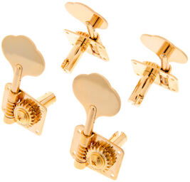 GB10 4L G Bass Tuners