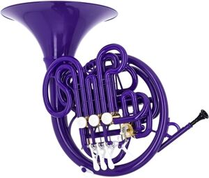 Purple HORNet Violet