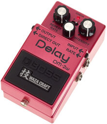 DM-2W Delay