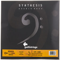 BSN920M Double Bass Strings