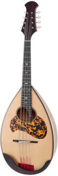 Round Back Mandola MD-2 MG