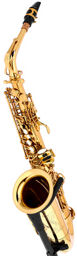 ST-110 Alto Sax