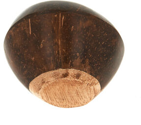 Shaker Coconut - 453